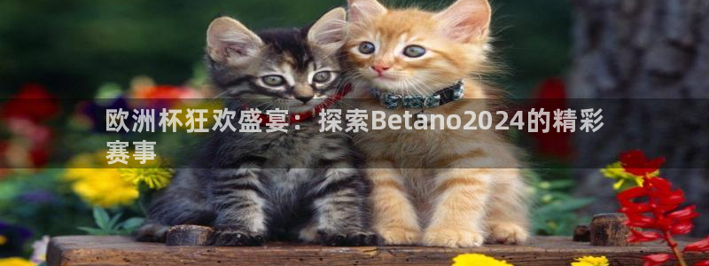 欧洲杯指定投注网站：欧洲杯狂欢盛宴：探索Betano2024的精彩
赛事